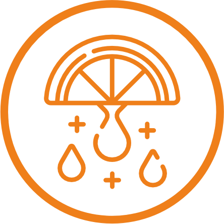 Gan Food Consultancy