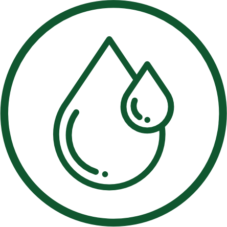Gan Food Consultancy